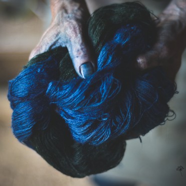 Teinture à l'indigo : laines sortant de la cuve indigo