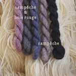 Cinq nuances de campêche en teinture végétale sur laine du violet au bleu en passant par le gris