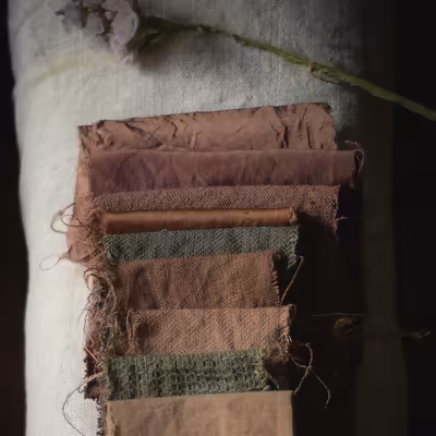 Teinture à la rudbeckia pour des couleurs naturelles roses ou vertes