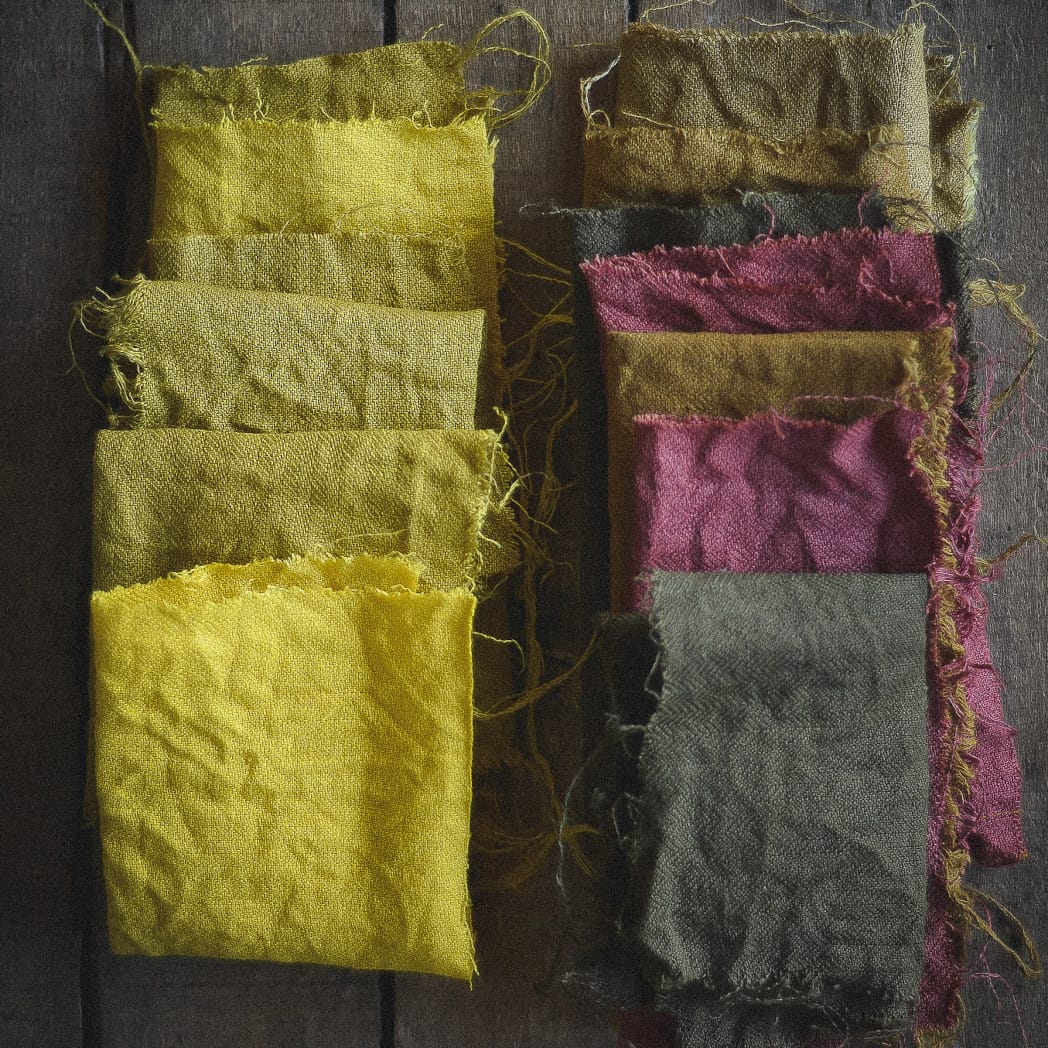 Sur un fond de bois sombre, deux rangées de coupons de lins teints au curcuma. A gauche, des jaunes, beiges. A droite, après avoir fait virer la couleur, des violets, kakis et gris.